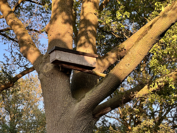 Een nestkast bestaande uit een voorportaal en een ‘kraam’kamer waar de jongen verblijven.