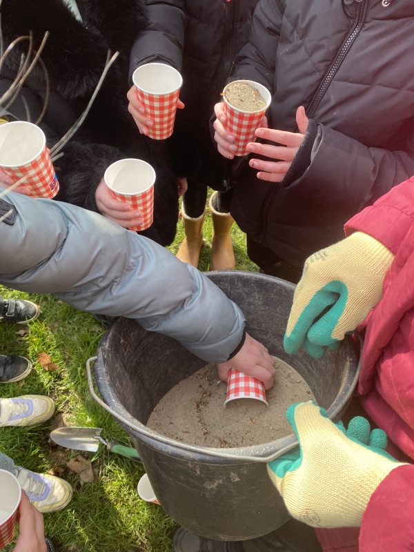Basisschool De Wegwijzer