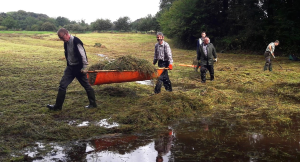 Vrijwilligers dragen het gemaaide gras van het hooilandje af.