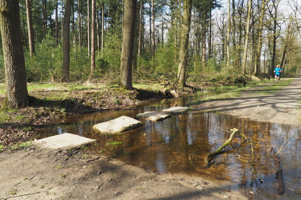 hardloper voor hindernis