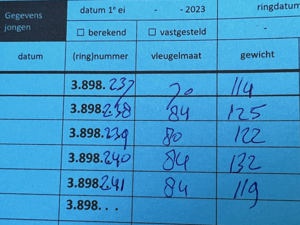 De ingevulde staat met gegevens van de 5 jongen.