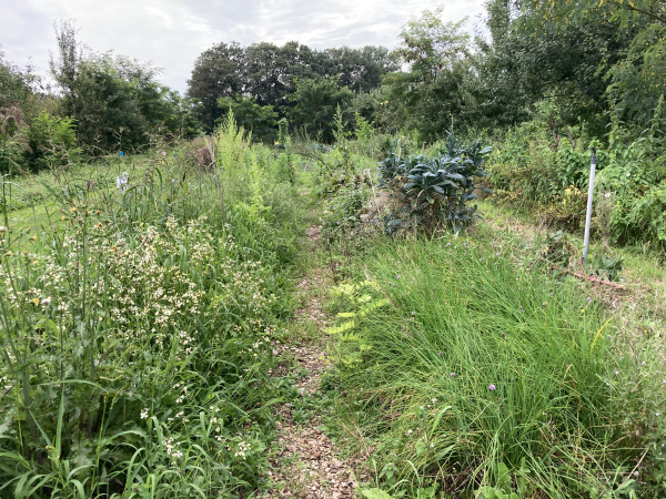 Biologische kwekers in Overijssel