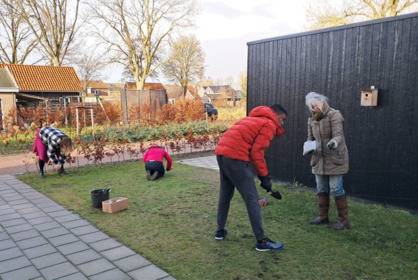 Bollen in de grond