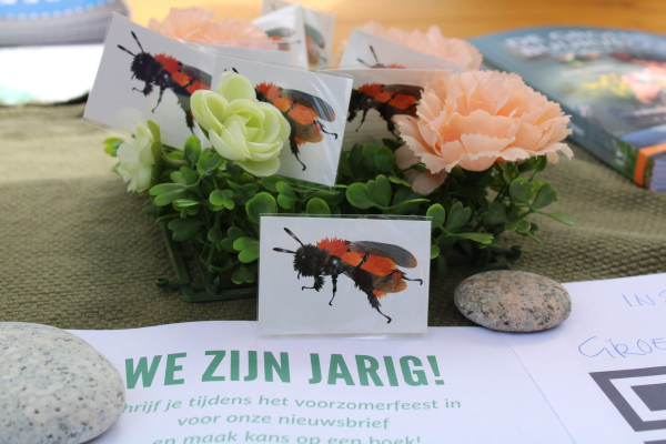 Groene Loper Zwolle sluit jubileumjaar succesvol af