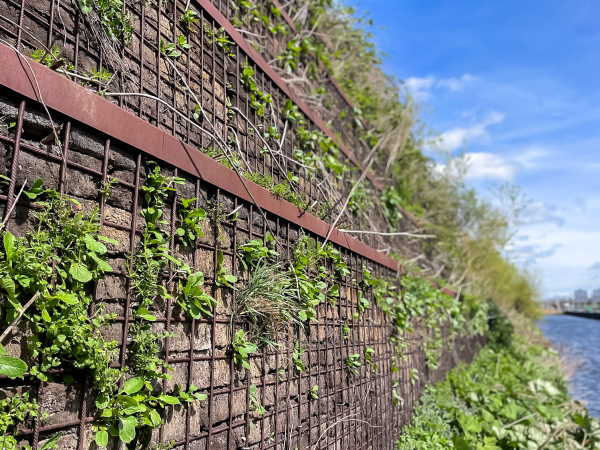 Circulaire Week vol duurzame activiteiten in Steenwijkerland