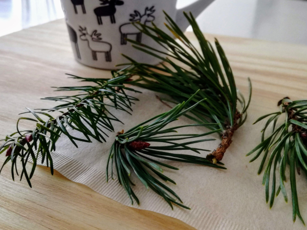 Ingrediënten om een winterse kop thee te maken