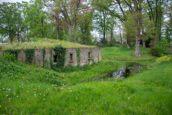 Ruine