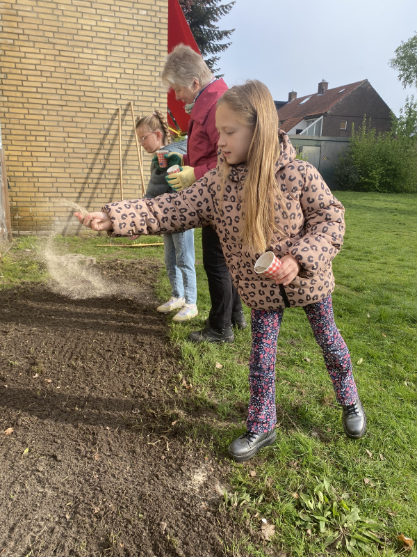 Basisschool De Wegwijzer zaait ook mee!