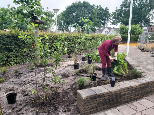 Groen schoolplein