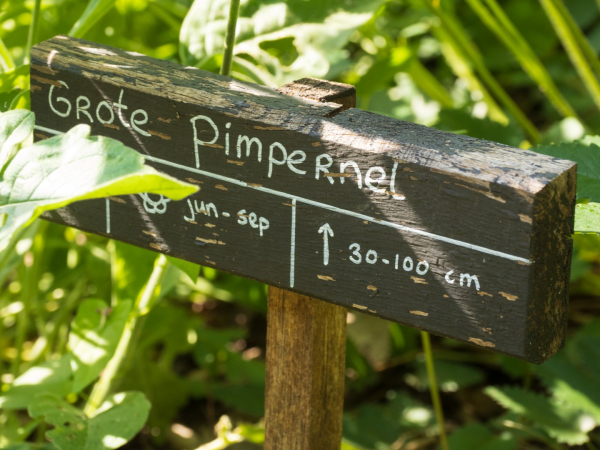 Duidelijke aanwijzingen in de tuin
