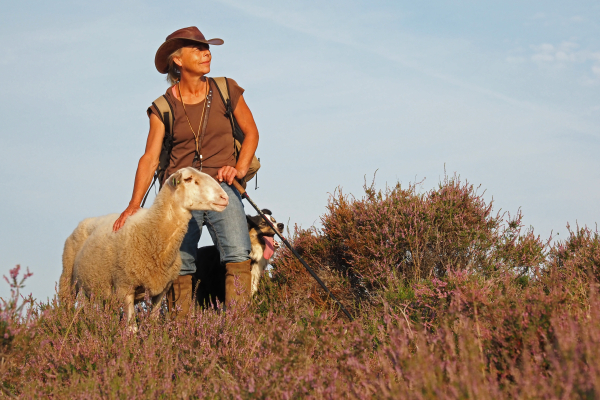 Schaapherder Monique, een drie-eenheid