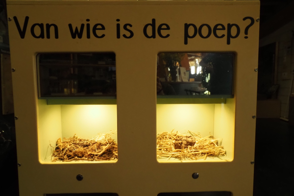 koppel Vind ik dit wel leuk? Bah!