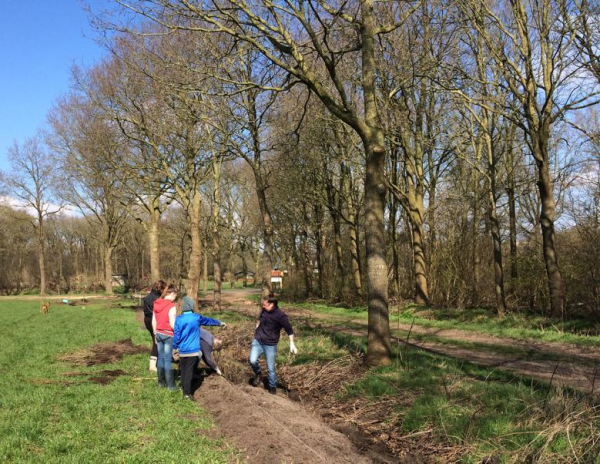 Hoop heggen aan de slag