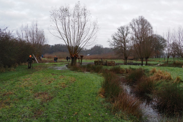 Een prachtig weiland met waterpartij