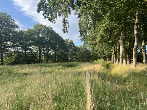 De politiek in Deventer stelt Landje van Niets als voorbeeld