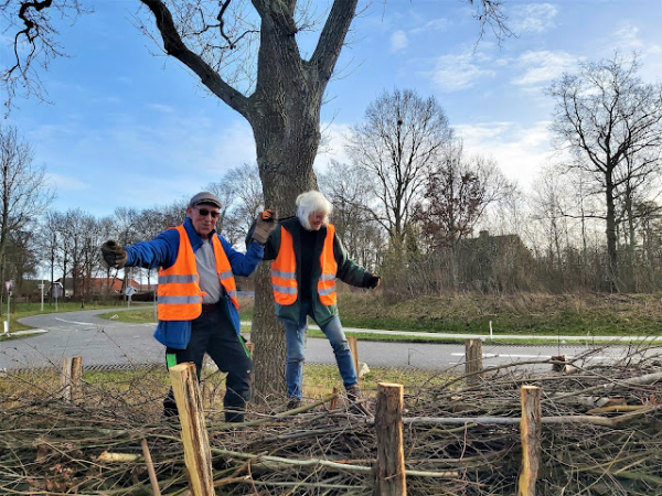 Takkenril aanleggen bij de Evenboersweg