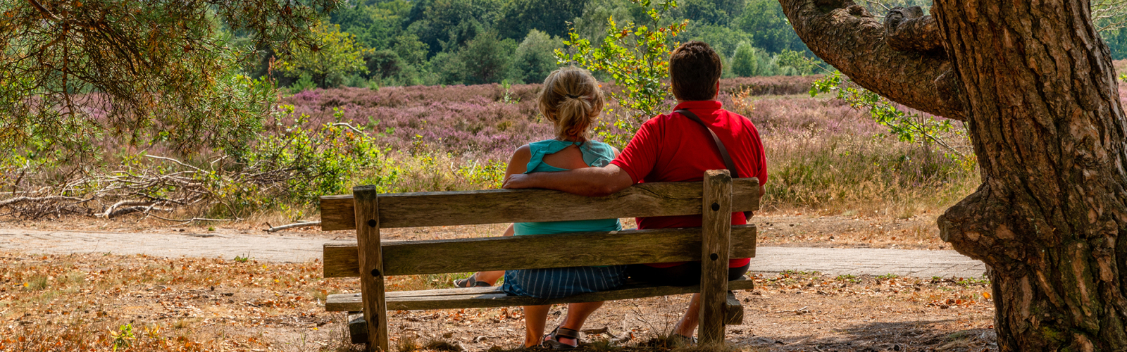 Sallandse Heuvelrug-1-Ellen van den Doel  website