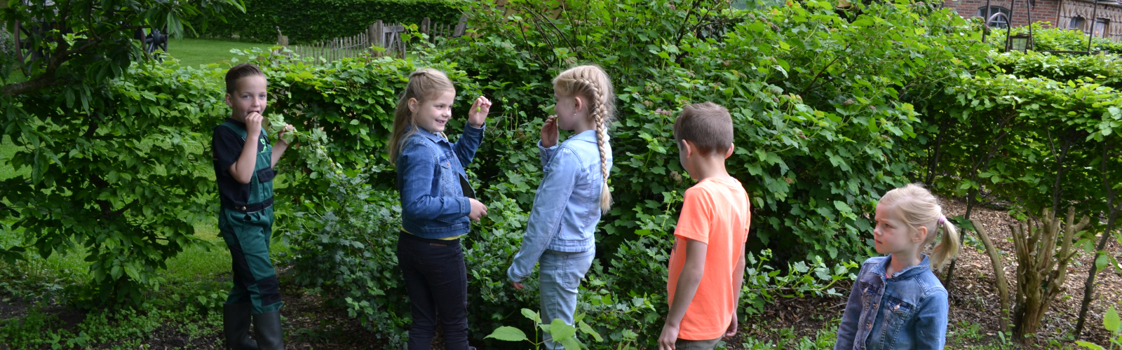 eetbaar groen kinderen